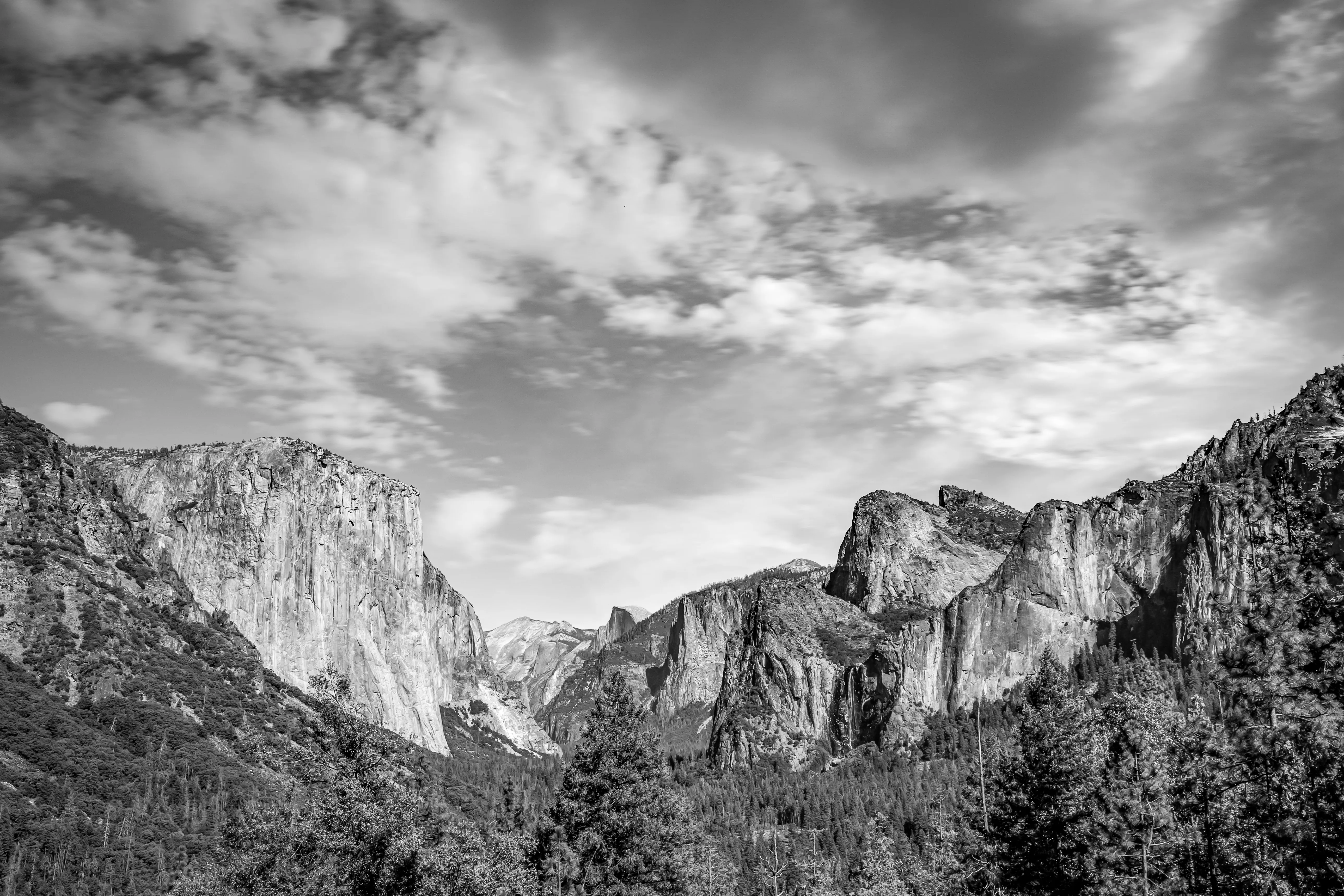 Nature photograph by AJ Latteri