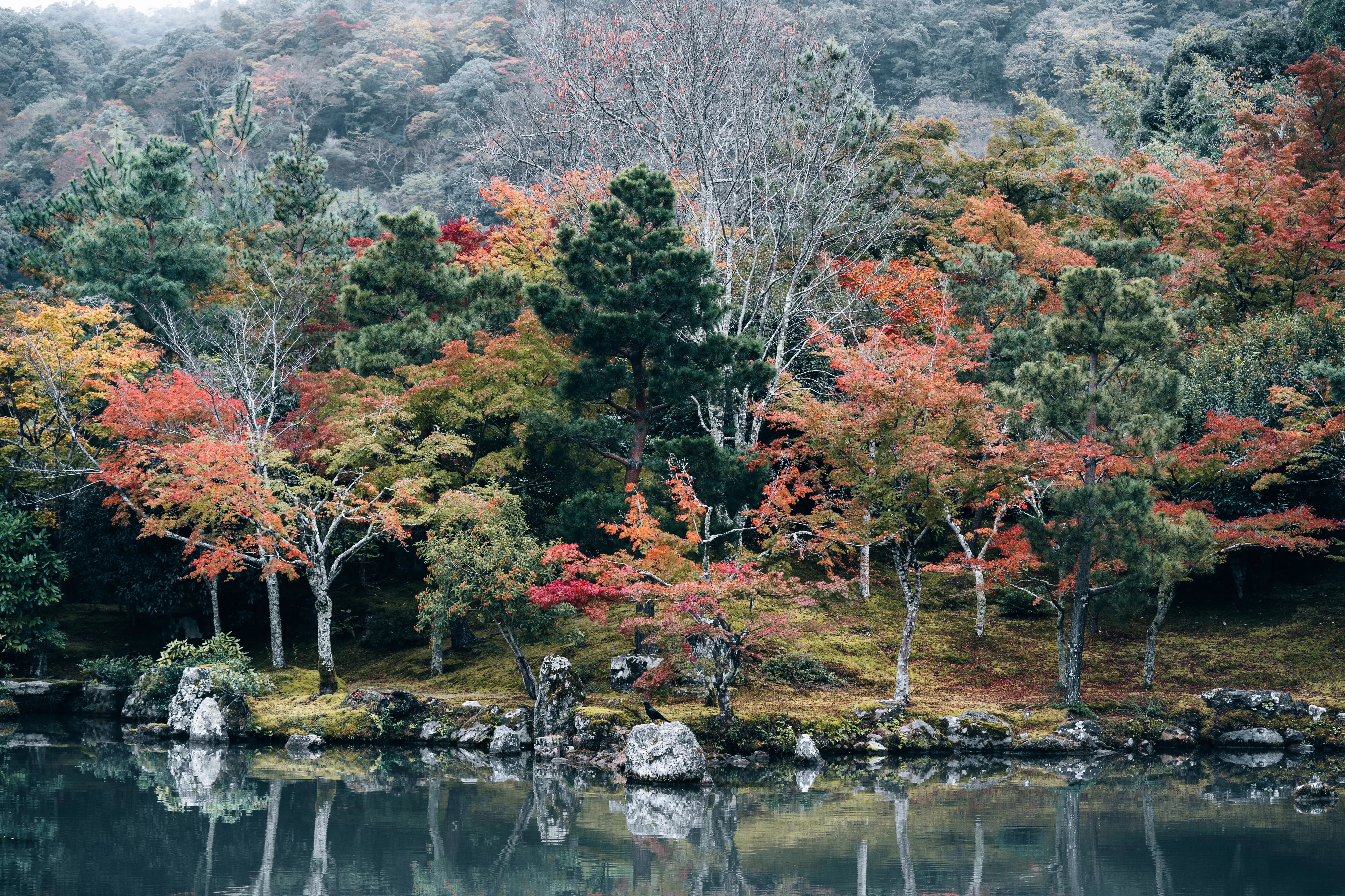Nature photograph by AJ Latteri
