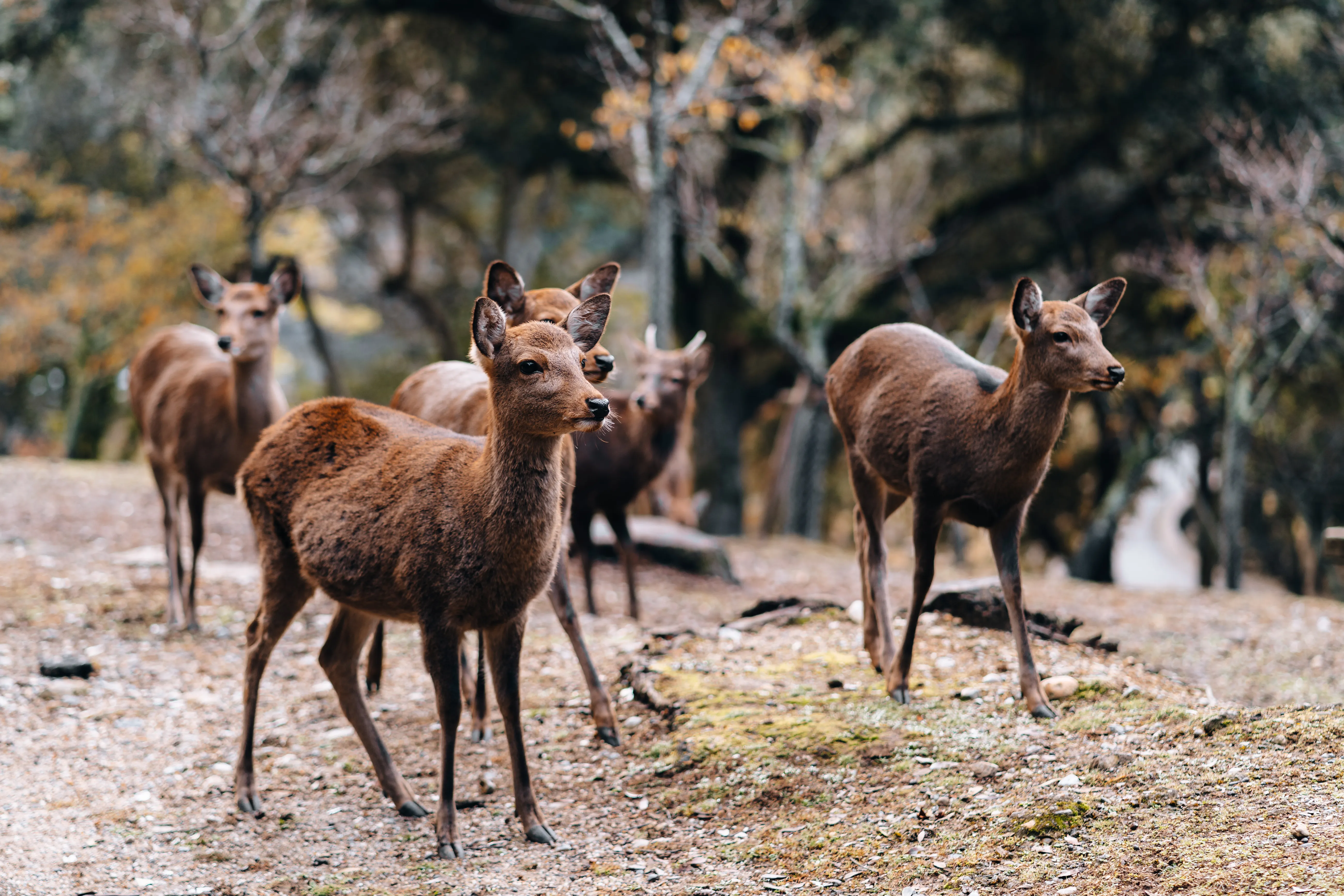 Nature photograph by AJ Latteri