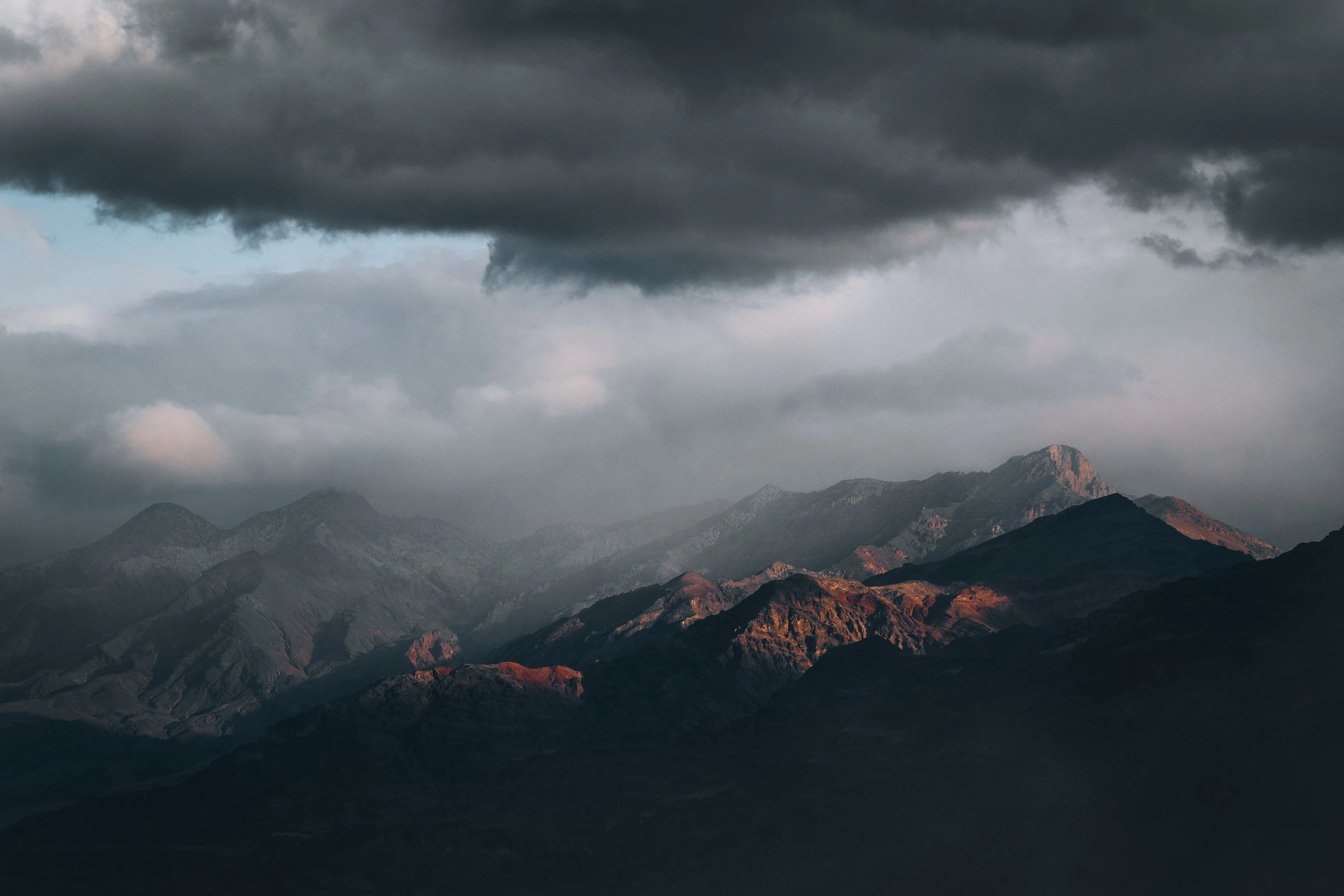 Nature photograph by AJ Latteri