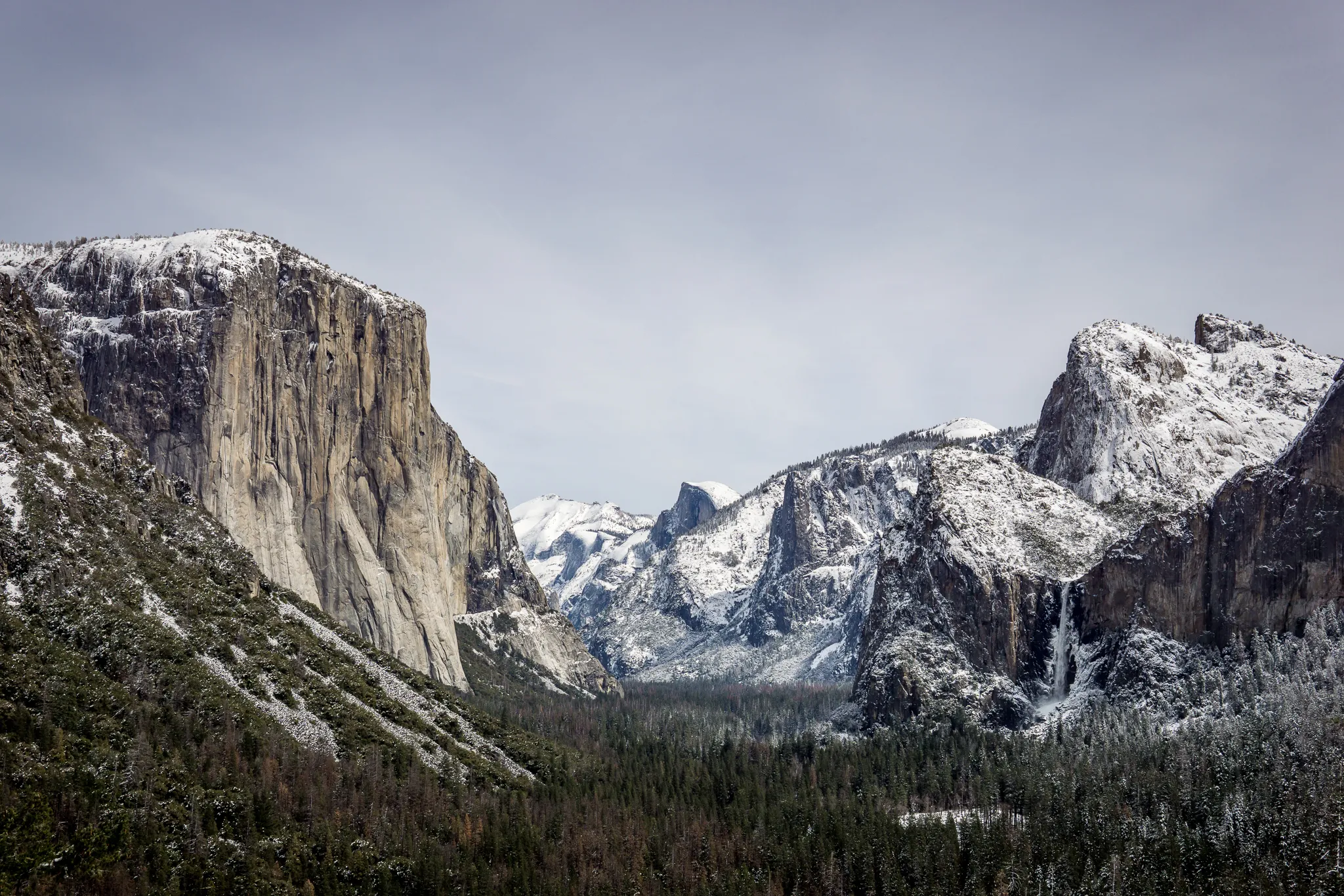 Nature photograph by AJ Latteri