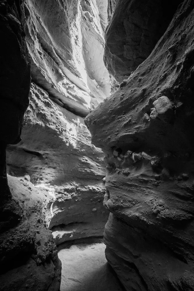 Nature photograph by AJ Latteri