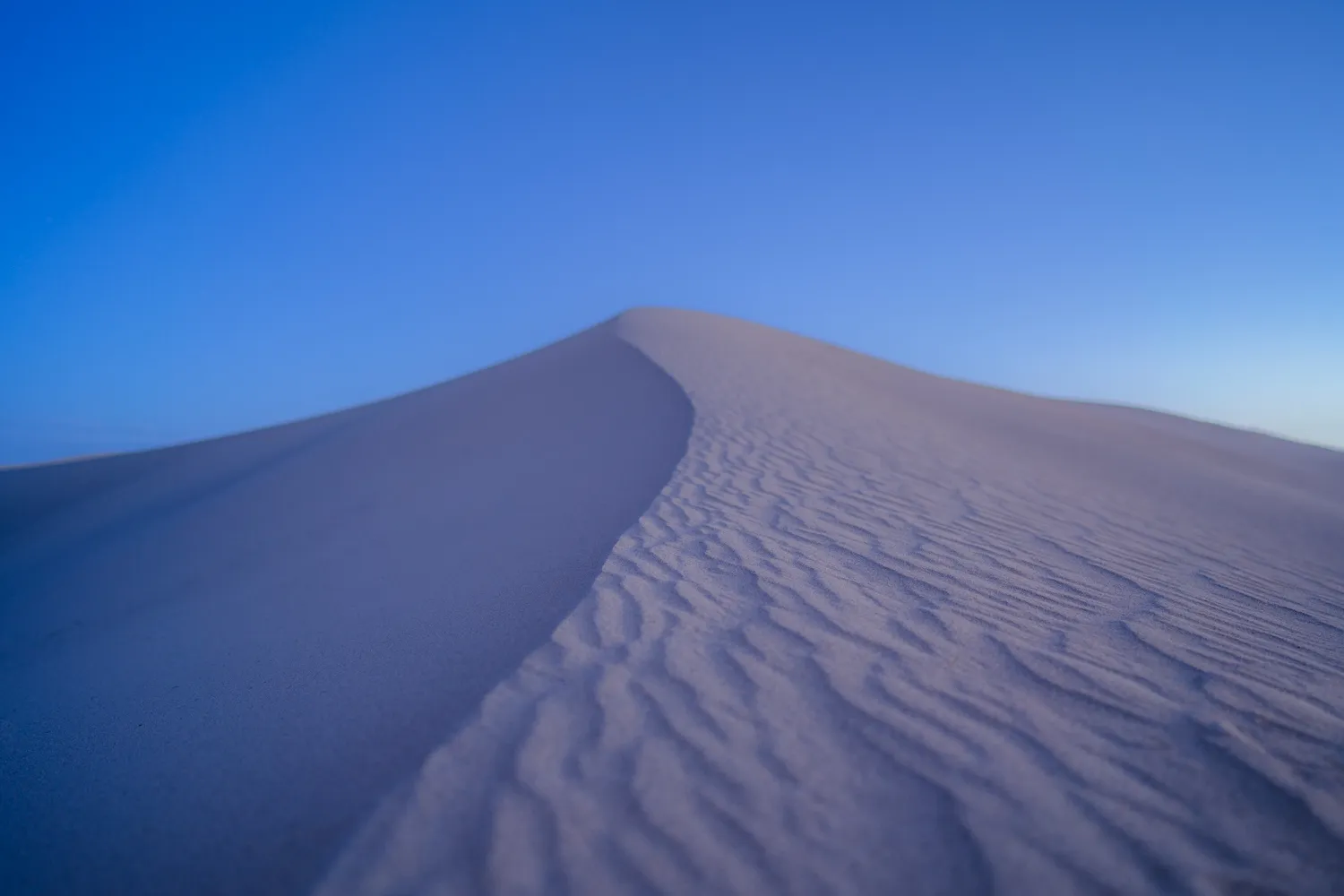 Nature photograph by AJ Latteri