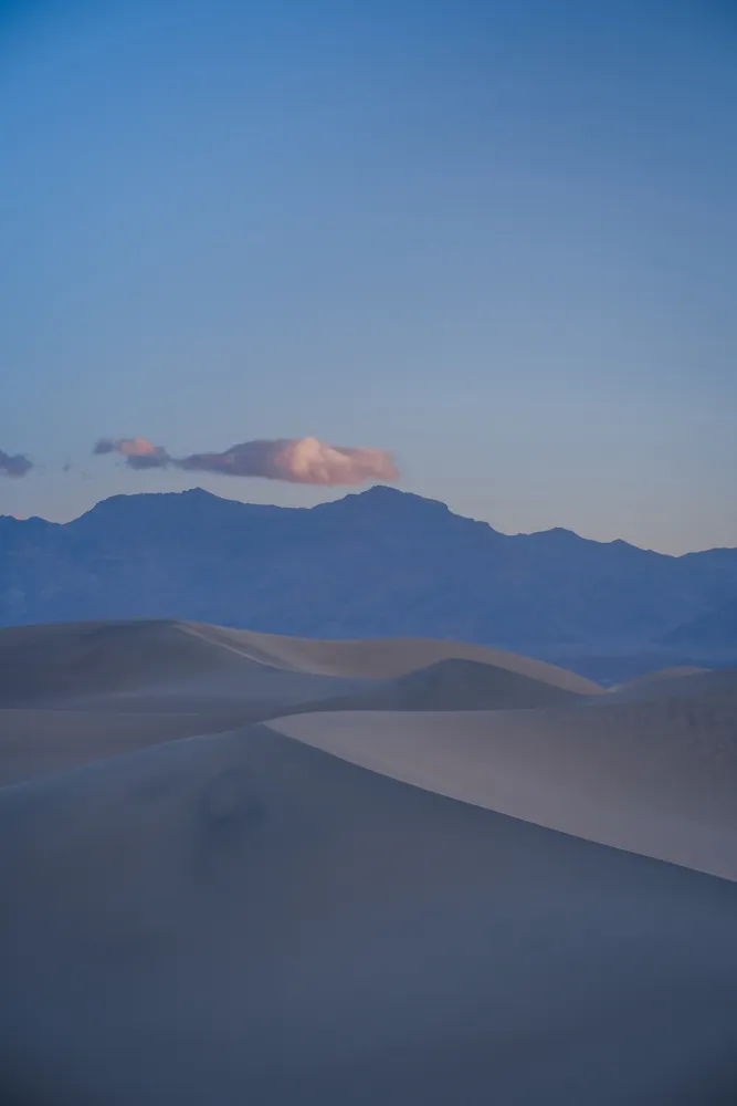 Nature photograph by AJ Latteri