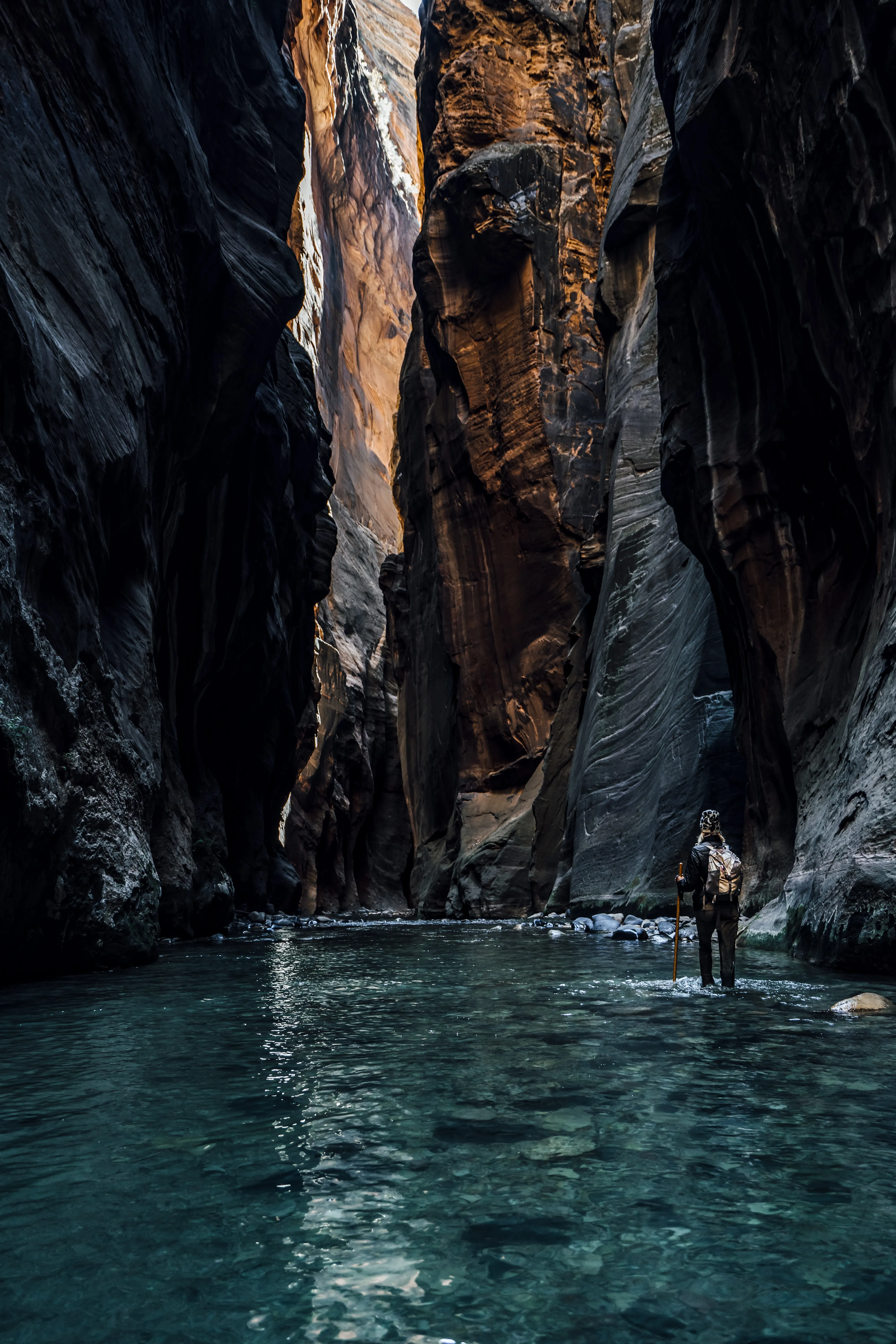 Nature photograph by AJ Latteri