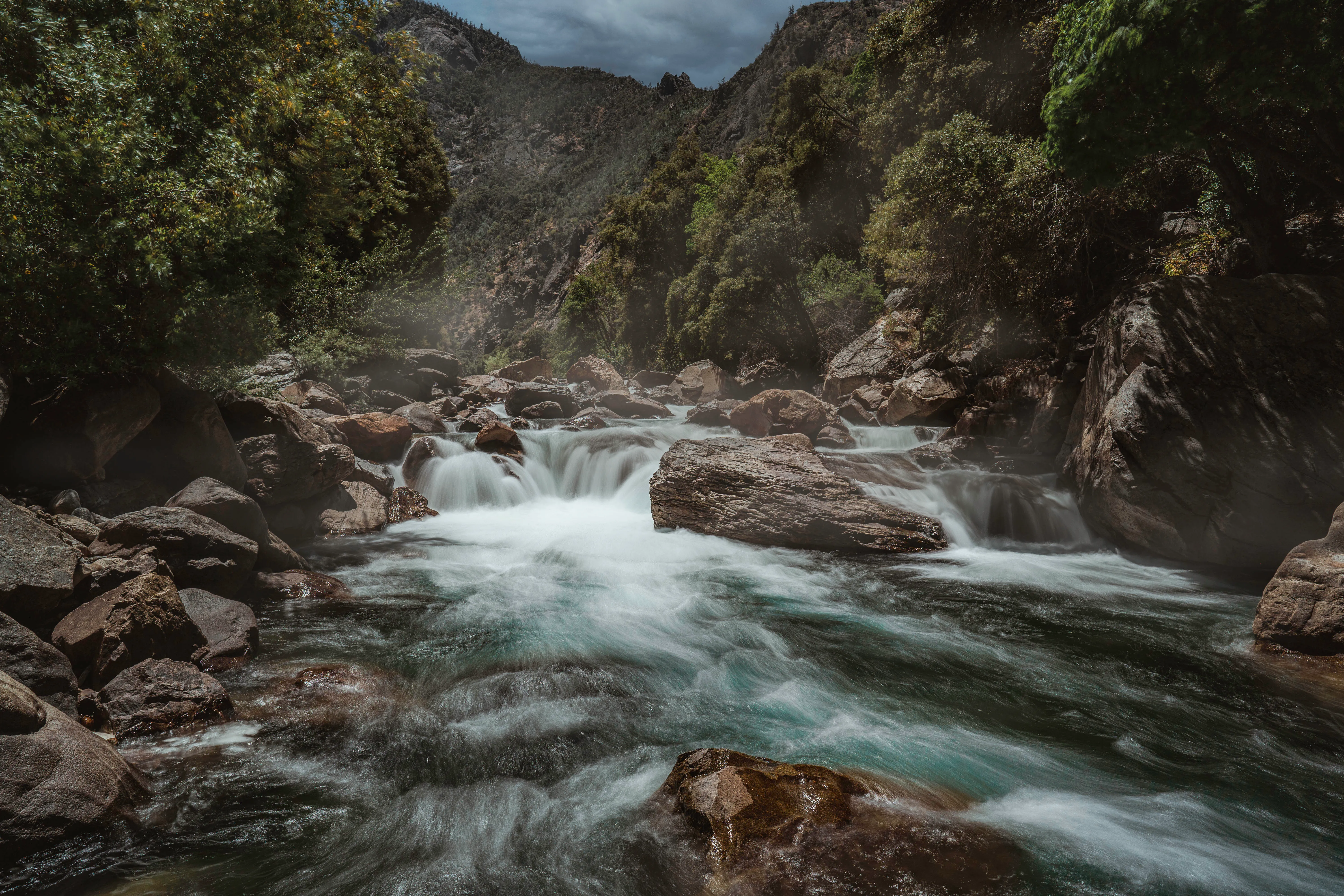 Nature photograph by AJ Latteri