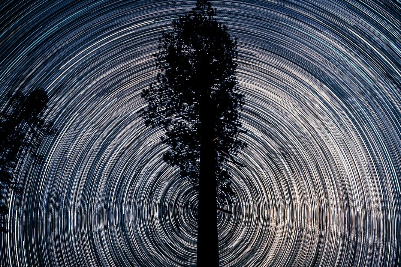 Nature photograph by AJ Latteri